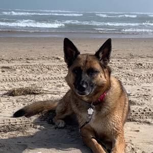 Meet your Posher, Louanne